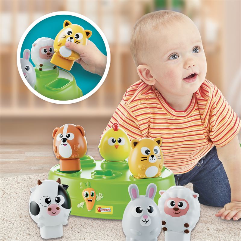 LIS: Carotina baby Edu oblici - Farma