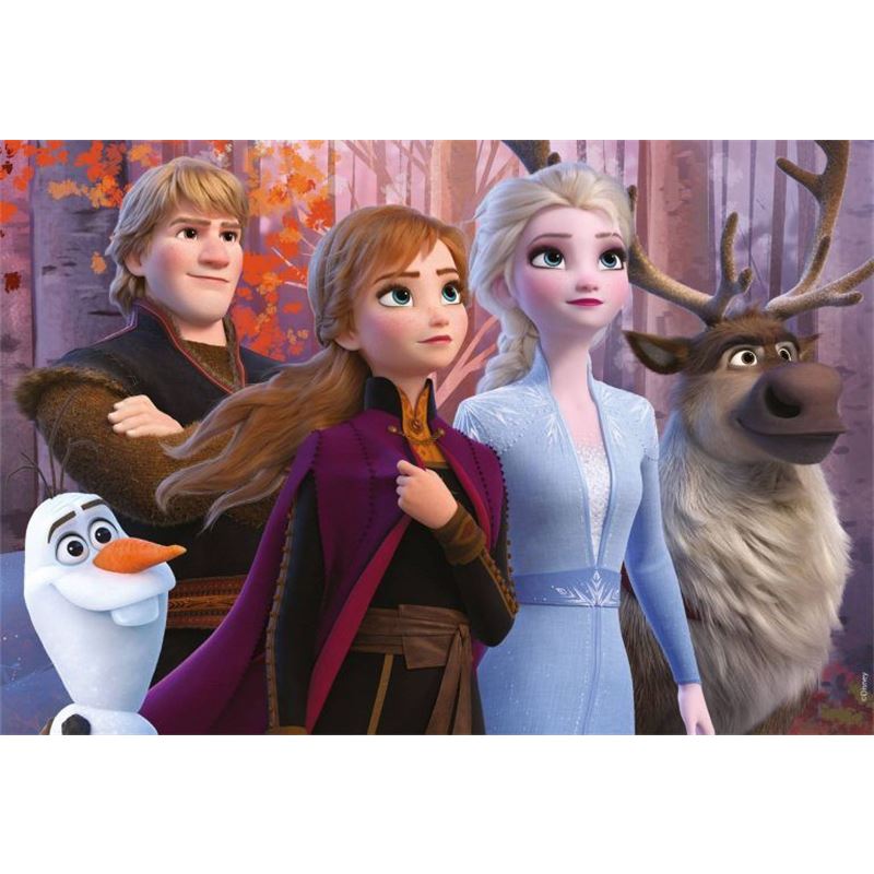 Disney puzzle df plus 108 Frozen 2